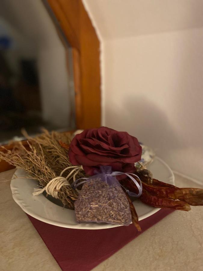 Restaurace U Vlkove 호텔 Kamenice 외부 사진